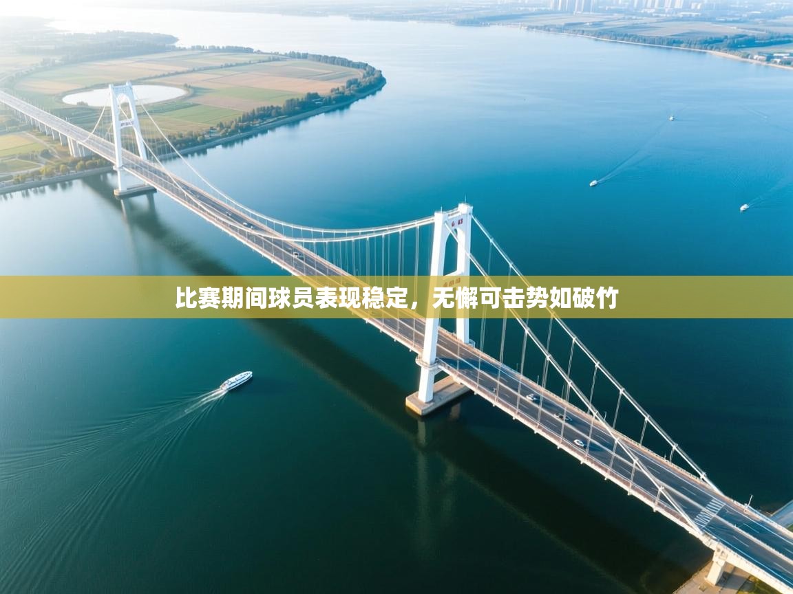 比赛期间球员表现稳定，无懈可击势如破竹  第1张
