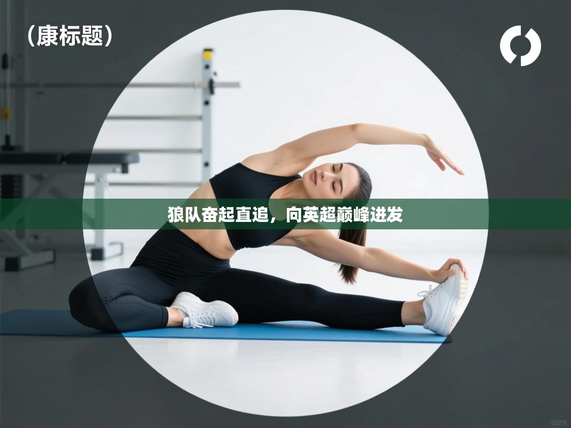 狼队奋起直追,向英超巅峰进发 第2张